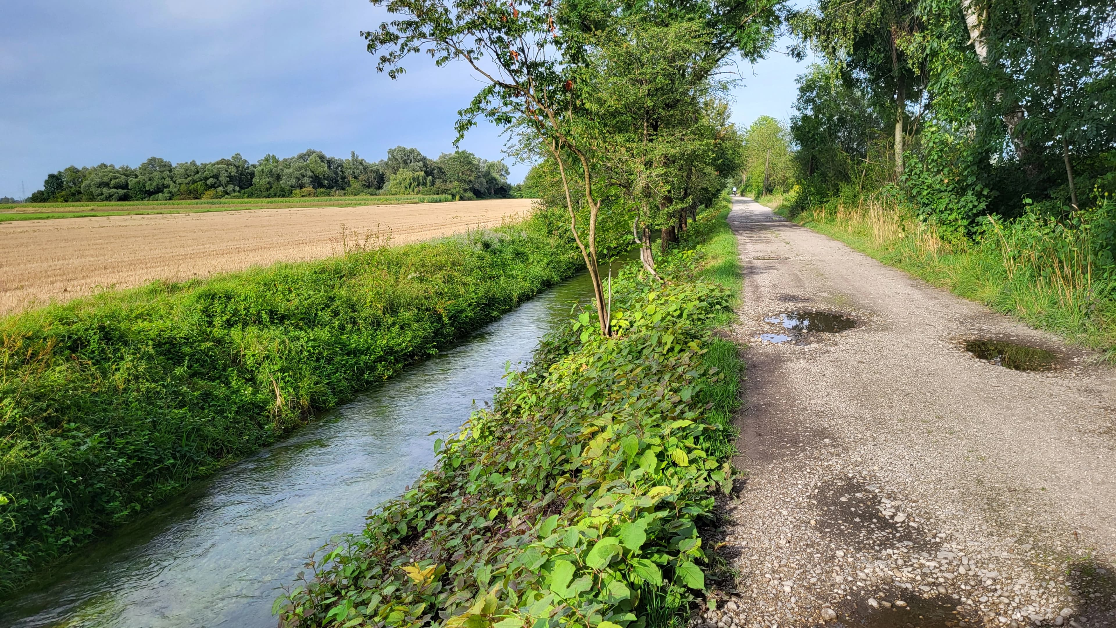 Naturraum Münchner Nordosten