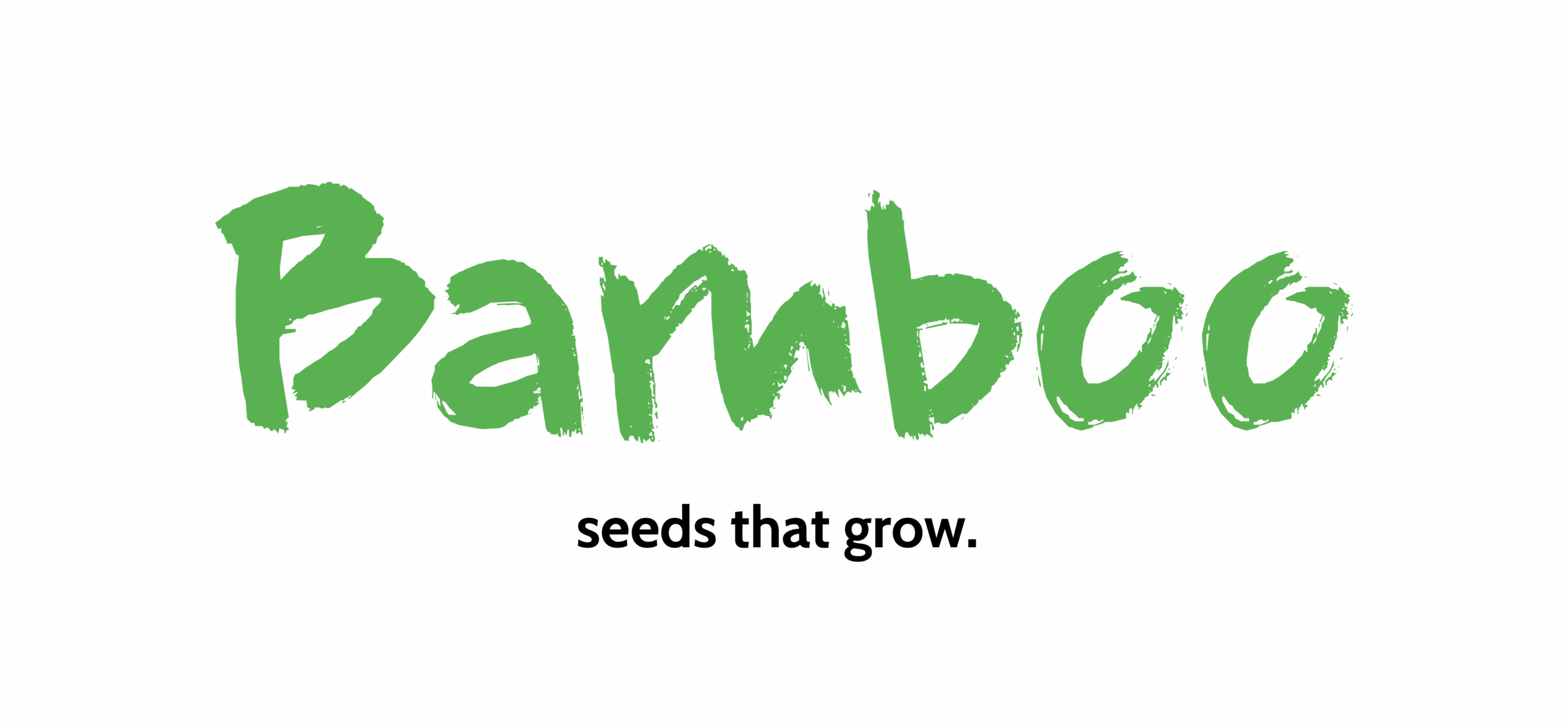 Bamboo Solutions GmbH